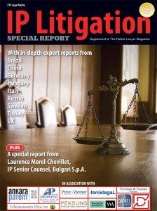 IP Litigation Specialist Report