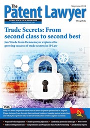 Trade Secrets: From Second Class To Second Best