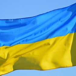 Ukrainian IP System reform