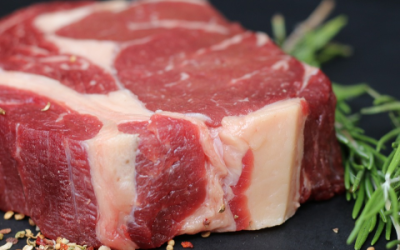 Cultivated meat approvals in the US: game-changer for global cellular agriculture IP landscape