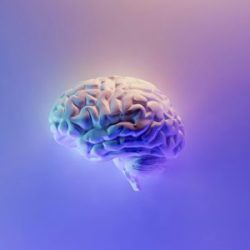 Patent law and AI the Supreme Court considers Emotional Perception AI's appeal  