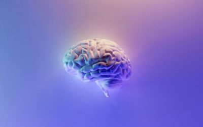 Patent law and AI: the Supreme Court considers Emotional Perception AI’s appeal  