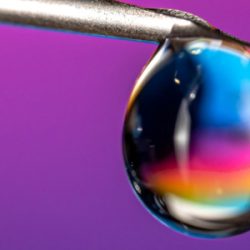 Celltrion and Samsung Bioepis target Merck’s Keytruda patents in South Korea