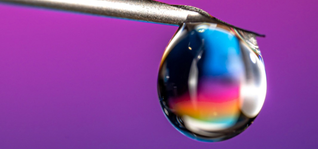 Celltrion and Samsung Bioepis target Merck’s Keytruda patents in South Korea